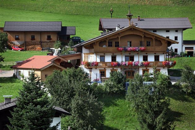 Stegerbauer Sommer