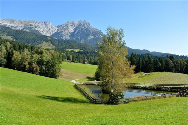Teich