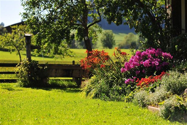 Thaler Johanna Sommer Header