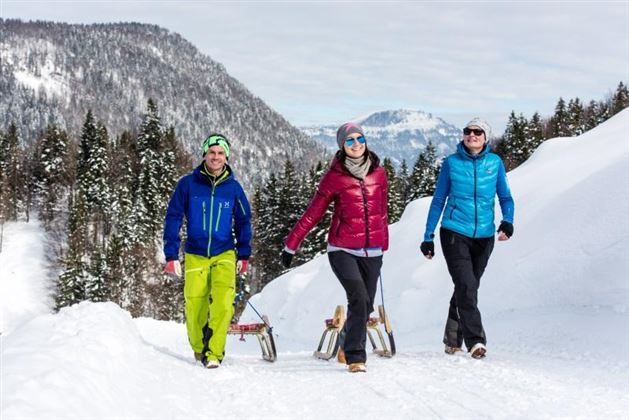 thumb-rodeln-in-der-region-st.-johann-in-tirol