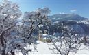 20160118_130429