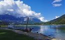 Ahornsee, Söll1