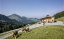 Alm_Appartement_Bromberg_33_Soell_Haus_Sommer_3