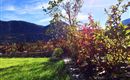 Almflair Chalet Thiersee - Herbststimmung