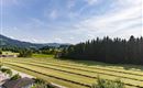 Alpinloft_Tirol_Sonnenstrasse_11_Bad_Haering_08_20