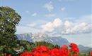 Appartements-Klammerhof_Sommer-27