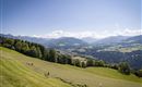 Ausblick