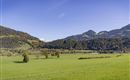 Ausblick