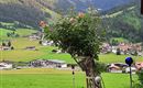 Aussicht