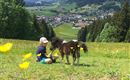 Aussicht auf Westendorf