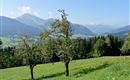 Aussicht Hohe Salve