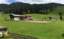 Aussicht Sommer