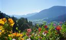 Aussicht vom Balkon