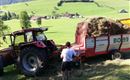Beim Heu machen