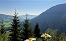 Berge