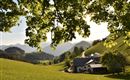 Berggasthof Moosbauer Erl - Ausblick im Sommer