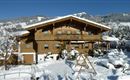 Bergrose Winter