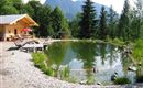 Biologischer Schwimmteich