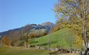 Blick auf die Hohe Salve Sommer