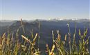 Blick zu den Hohen Tauern
