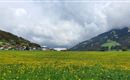 Blick zu unserem Haus