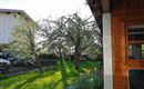 Blick zum Hasenstall
