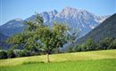 Blick zum Kaisergebirge