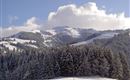 Blick zur Ehrenbachhöhe