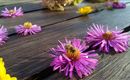 Blumen und Bienen Haus Flora am Kaiser