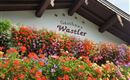 Blumen