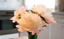 Blumendeco