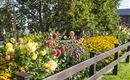 Blumenwiese Haus
