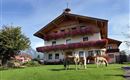 Breitenhof_Haus Breiten_Angath_Bauernhof