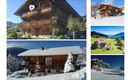 collage1