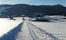Direkt mit Ski zur Salvistabahn