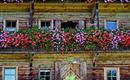 Drittlhof-Sommer