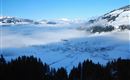 DSC_0003 (3)