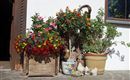 DSC01580