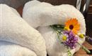 Dusche und WC in allen Zimmern