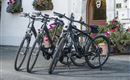 E-Bikes