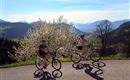 EBike
