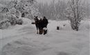 ein Winter wie im Bilderbuch
