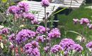 Entspannen im Garten