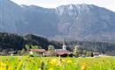 Frühling @Region Hohe Salve - Amer Alexander