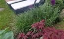 Garten_02