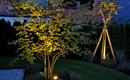 Garten-6