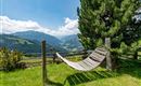 Garten Ausblick Sommer