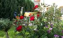 Garten mit Blumen