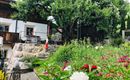 Garten Sommer