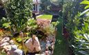 Garten Teich